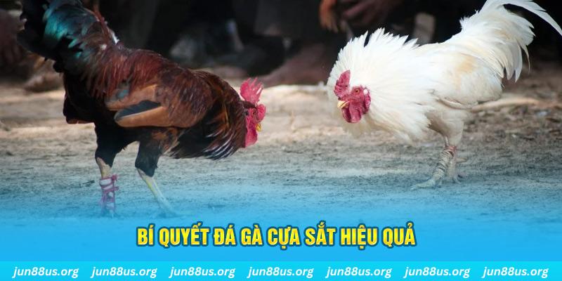 vn123 nổ hũ may mắn