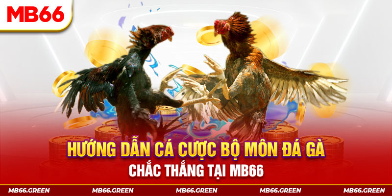 vn123 xổ số miền nam hôm nay