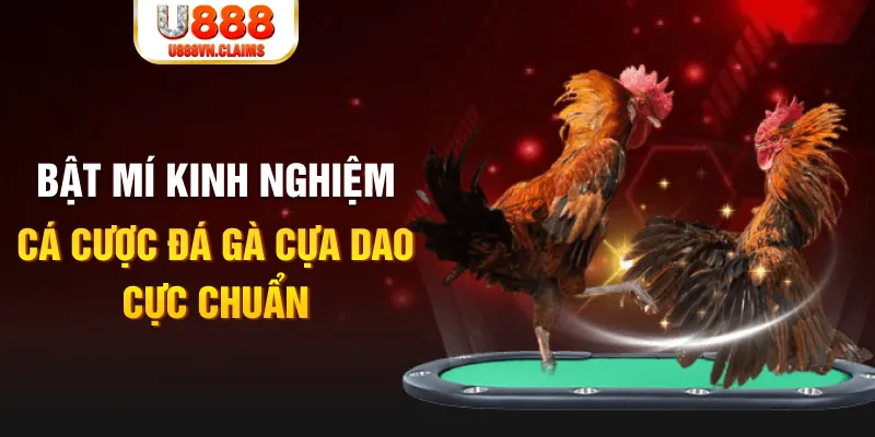 vn123 casino hồ tràm có cho người việt vào không
