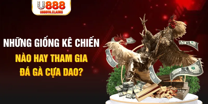 vn123 BG Trực Tuyến