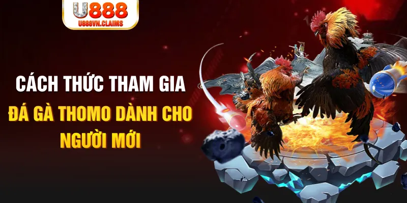 vn123 truc tiep da ga