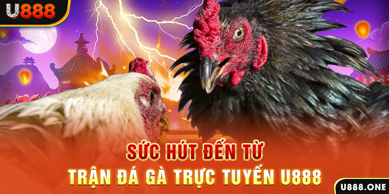 vn123 đăng nhập poker 2024