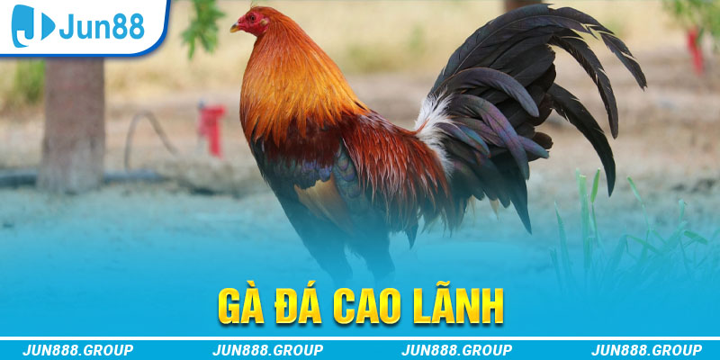 vn123 tai game vua bai ve may tinh