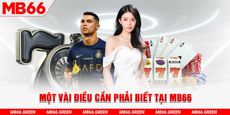 vn123 đăng nhập poker uy tín