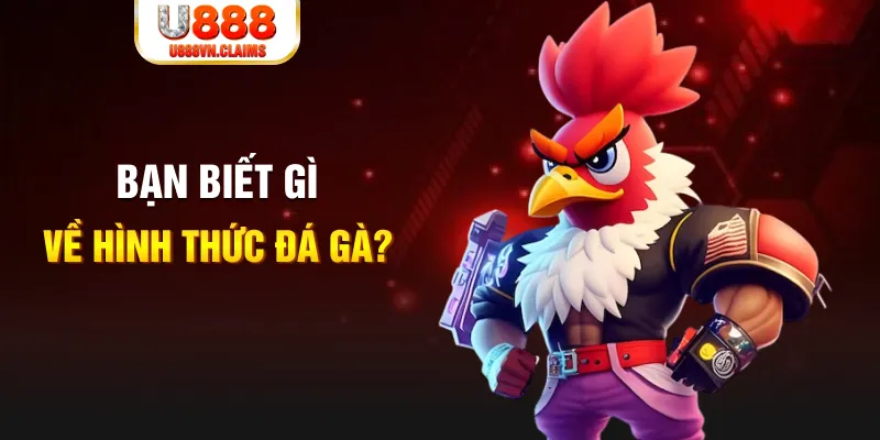vn123 đăng nhập liêng tặng tiền
