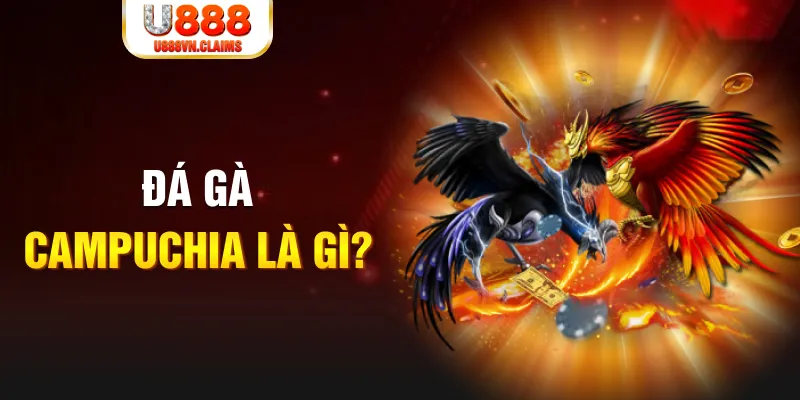 vn123 what is the best online casino for real money