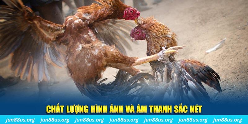 vn123 tai game danh bai mien phi ve may tinh