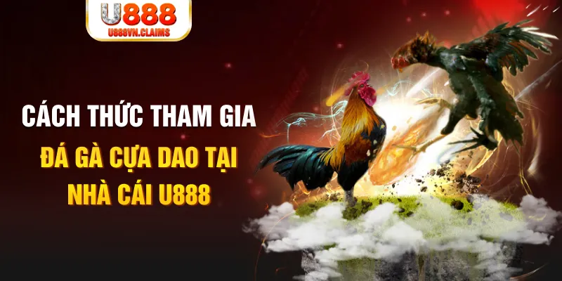 vn123 đá gà 88.com
