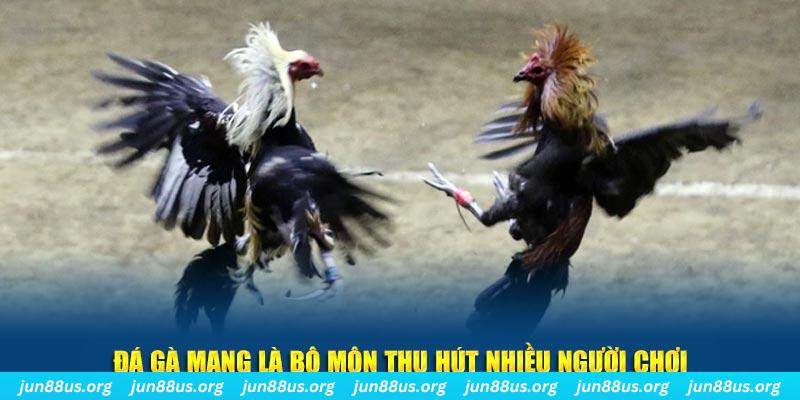vn123 đăng nhập sòng bạc số 1