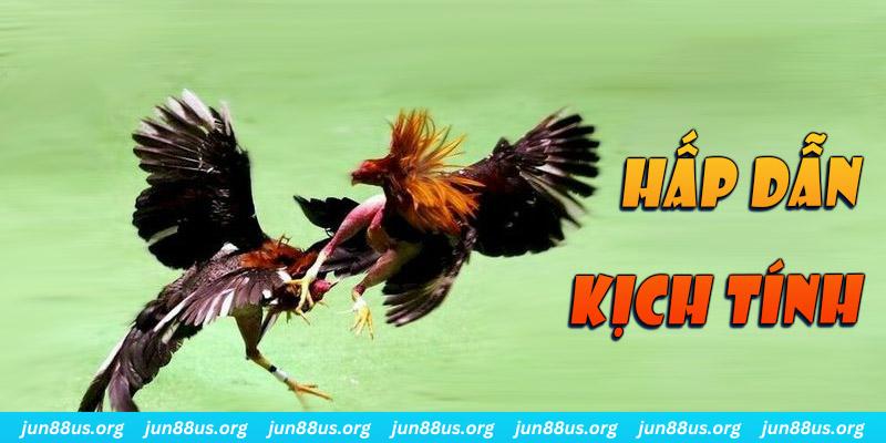 vn123 xổ số miền nam thứ sáu