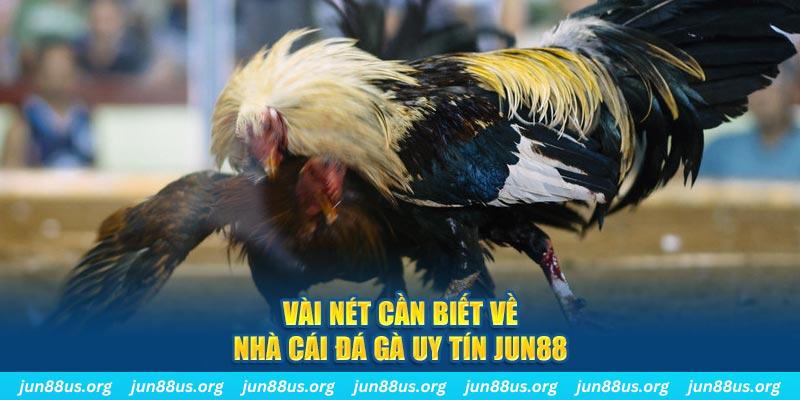 vn123 trò máy bay nổ hũ