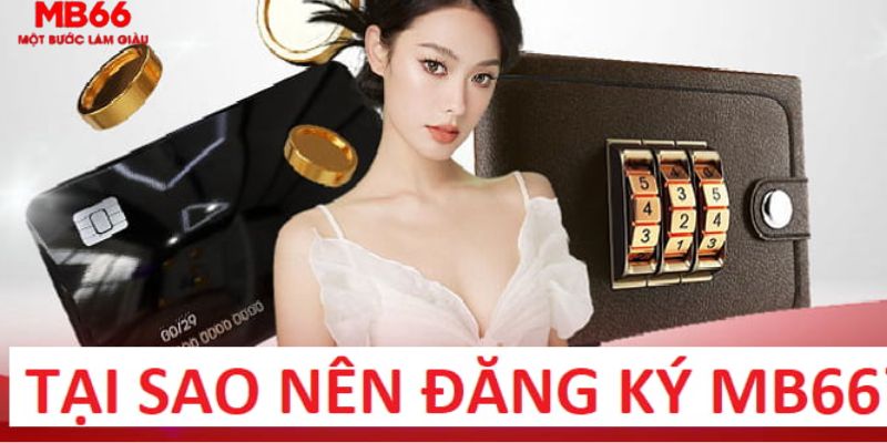 vn123 trực tiếp gà chọi c1
