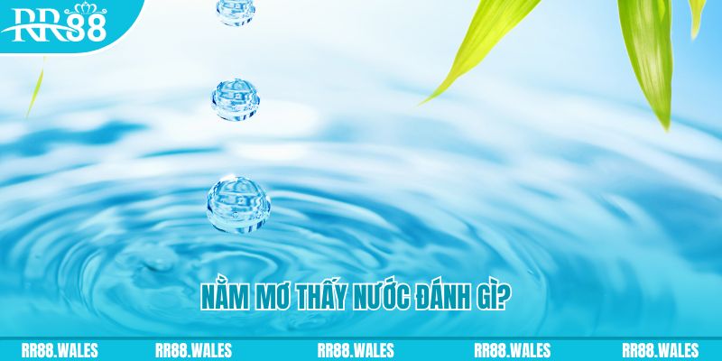 vn123 xổ số trực tiếp miền bắc