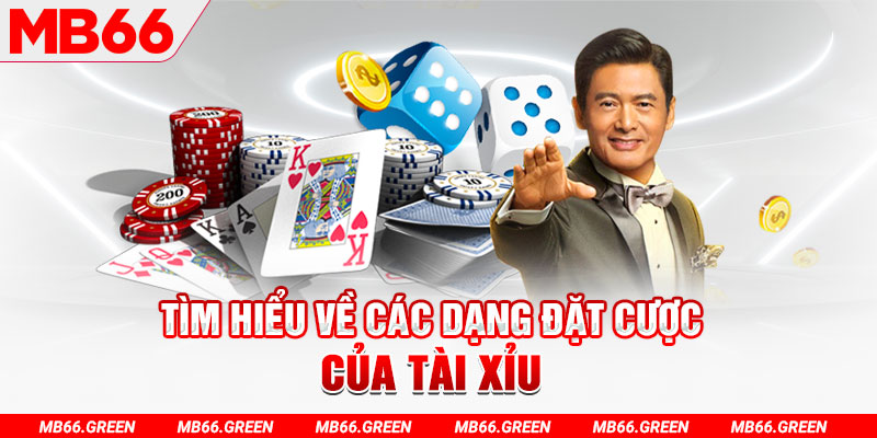 vn123 what is a casino loyalty program