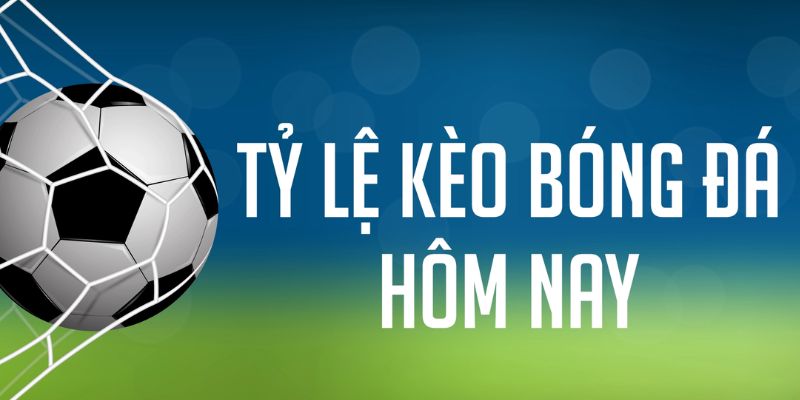 vn123 đăng nhập phỏm
