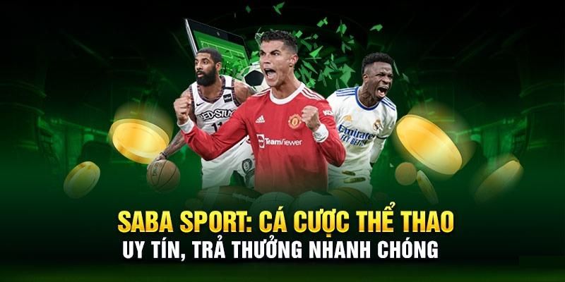 vn123 cá cược thể thao là gì