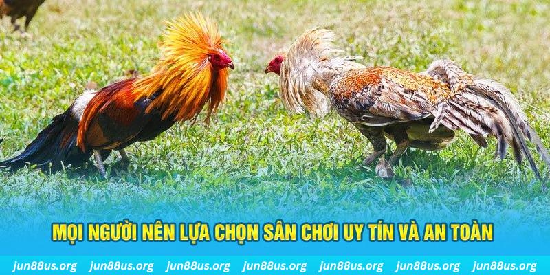 vn123 đăng nhập poker 2025