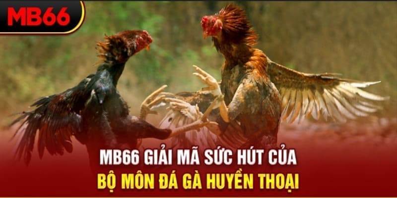 vn123 xổ số đài bắc