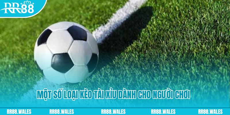 vn123 slot nghĩa là gì