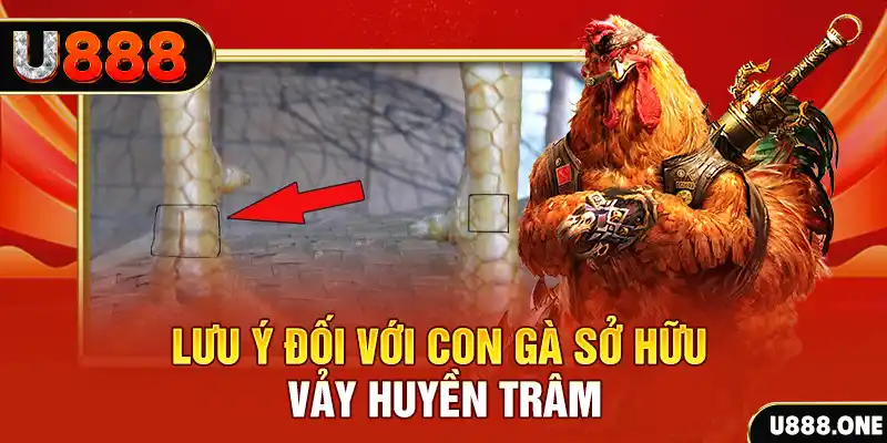 vn123 tải game đánh bài tiến lên miền nam về máy tính