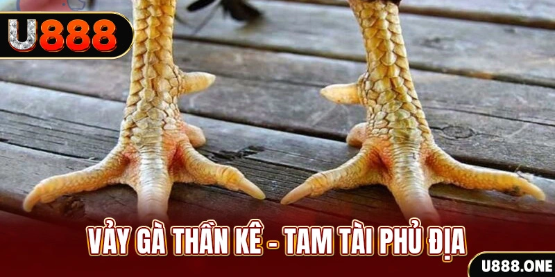 vn123 so xo mien trung