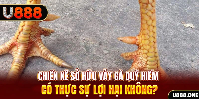 vn123 xổ số miền trung