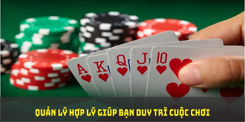 vn123 đá gà trực tiếp thomo 67
