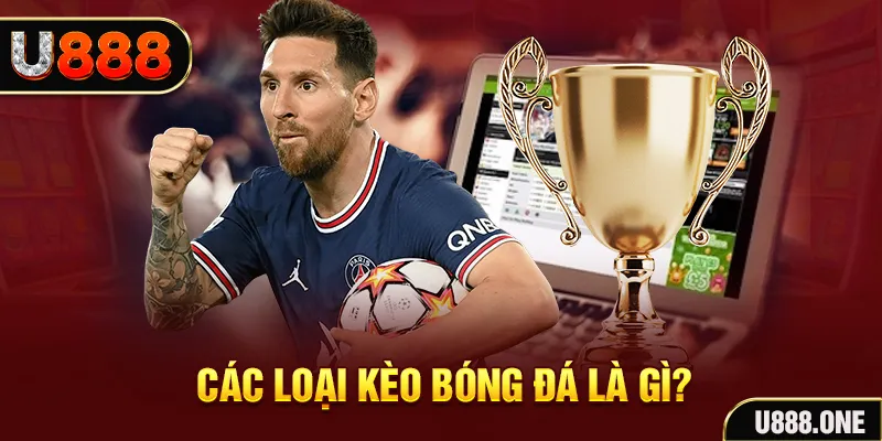 vn123 Tôm Cua Cá 2