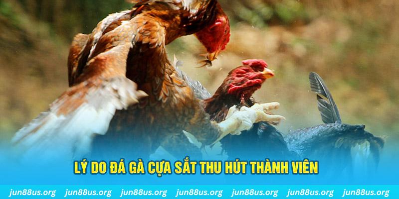 vn123 nổ hũ ăn bao nhiêu