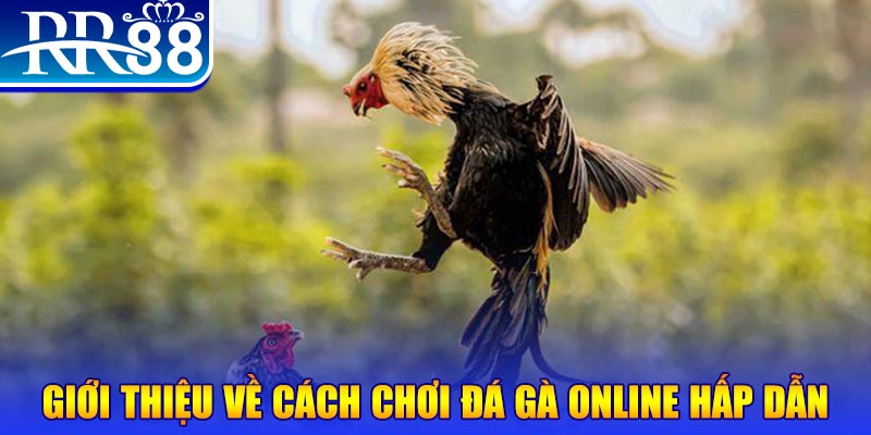 vn123 bắn cá h5 là gì