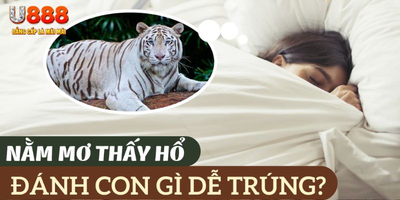 vn123 nohu .mx nổ hủ là gì