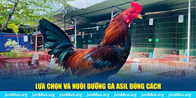 vn123 nổ hũ thần tài là gì