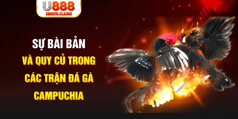 vn123 game xếp bài trên máy tính