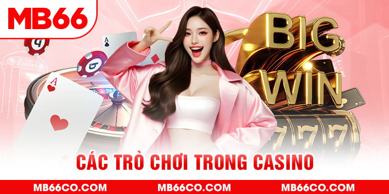 vn123 chổi lông gà
