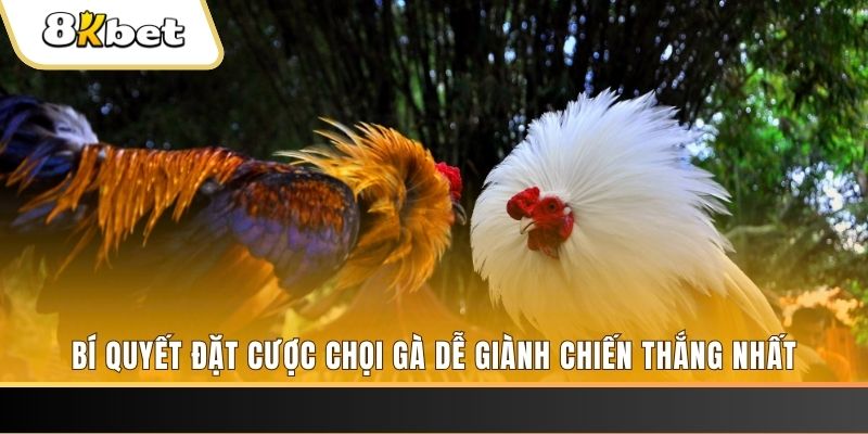 vn123 nổ hũ chơi như thế nào