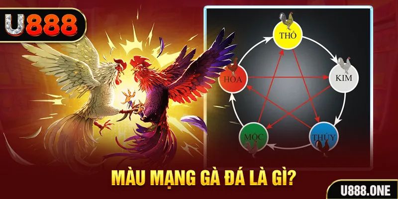 vn123 V8 Game Bài 3d