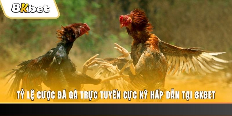 vn123 xổ số miền bắc chủ nhật