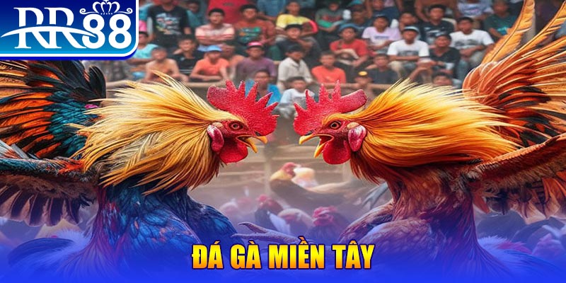 vn123 đăng nhập liêng đổi thưởng