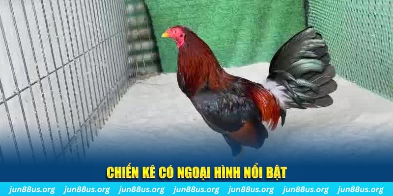 vn123 qq88 bắn cá