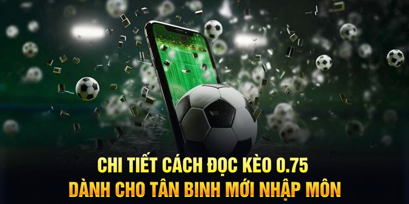 vn123 Xì tố