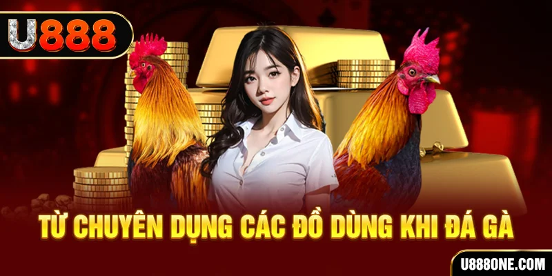 vn123 đăng nhập poker trực tiếp