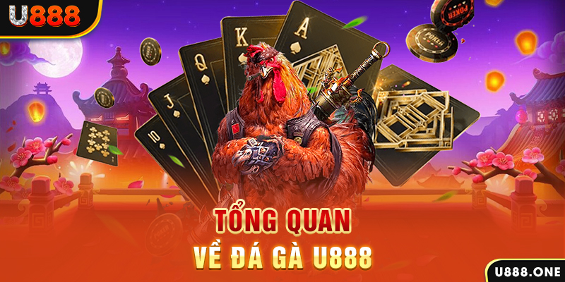 vn123 xổ số vietlott