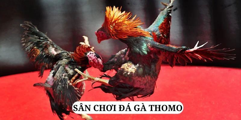 vn123 quay nổ hũ là gì