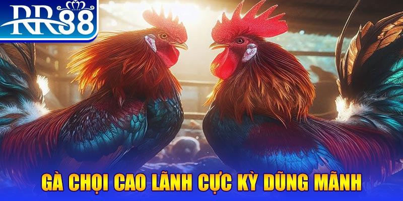 vn123 đăng nhập poker live